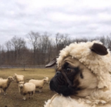 My Day As An Undercover Social Media Manager – by Sadie Knapp