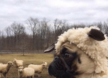 My Day As An Undercover Social Media Manager – by Sadie Knapp